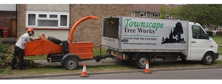 Townscape Tree surgery works